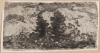 TvB G 2616
<br/>
Twee bomen
<br/>
<em>Schaepkens, Arnoud (1816-1904)</em>